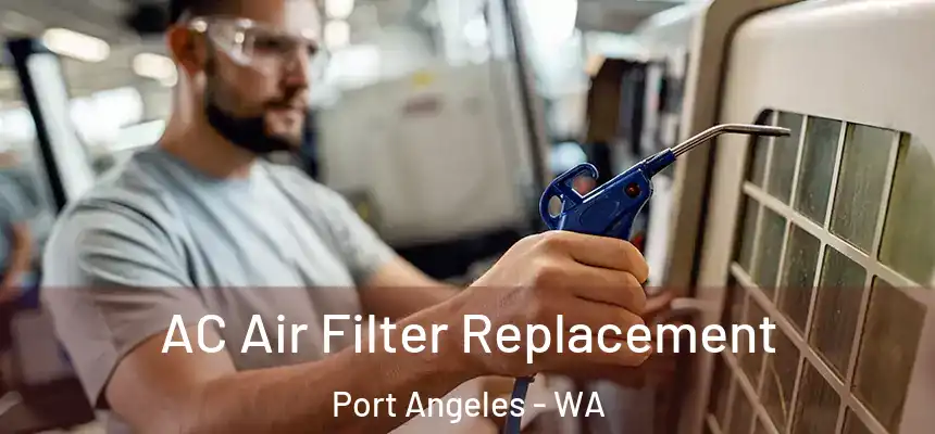  AC Air Filter Replacement Port Angeles - WA