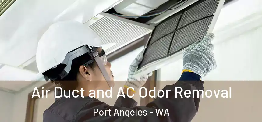 Air Duct and AC Odor Removal Port Angeles - WA