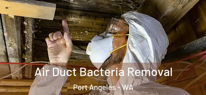  Air Duct Bacteria Removal Port Angeles - WA