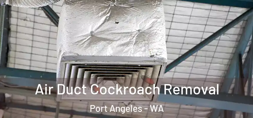  Air Duct Cockroach Removal Port Angeles - WA