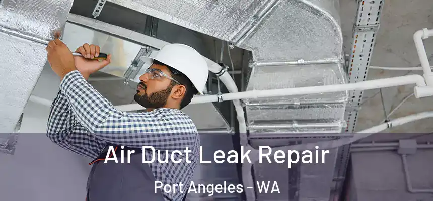  Air Duct Leak Repair Port Angeles - WA