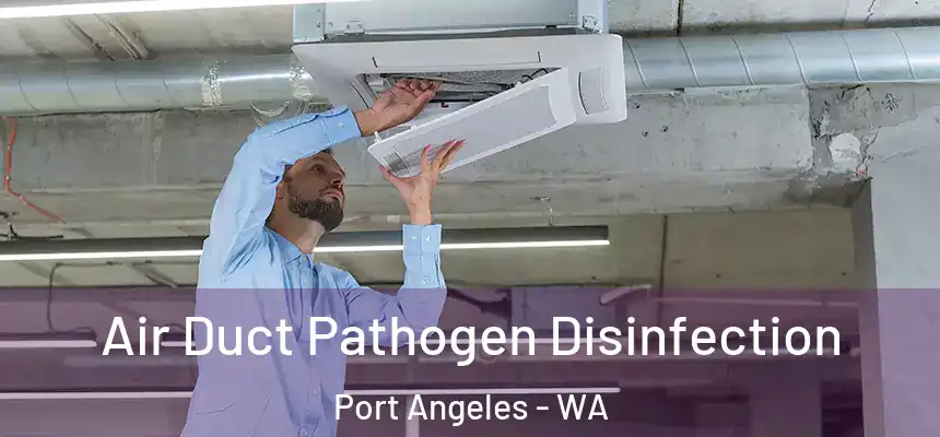  Air Duct Pathogen Disinfection Port Angeles - WA