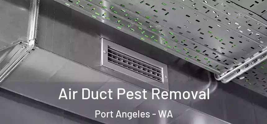 Air Duct Pest Removal Port Angeles - WA