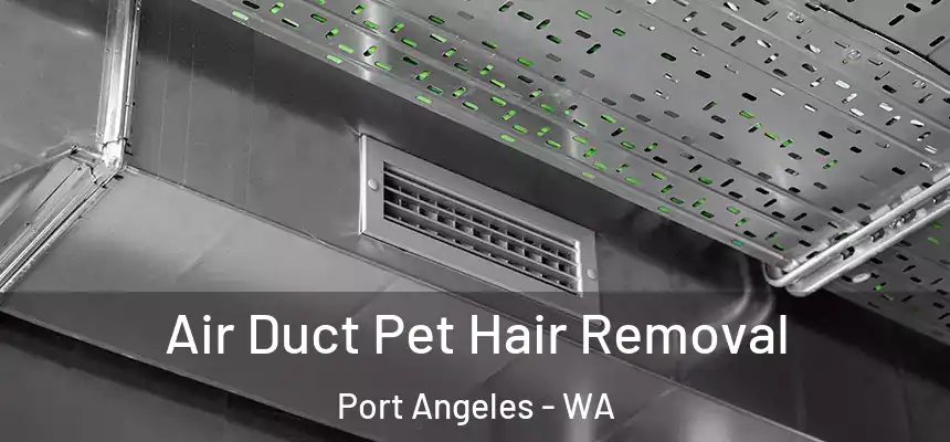  Air Duct Pet Hair Removal Port Angeles - WA