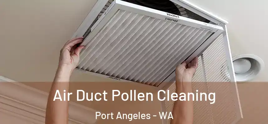  Air Duct Pollen Cleaning Port Angeles - WA