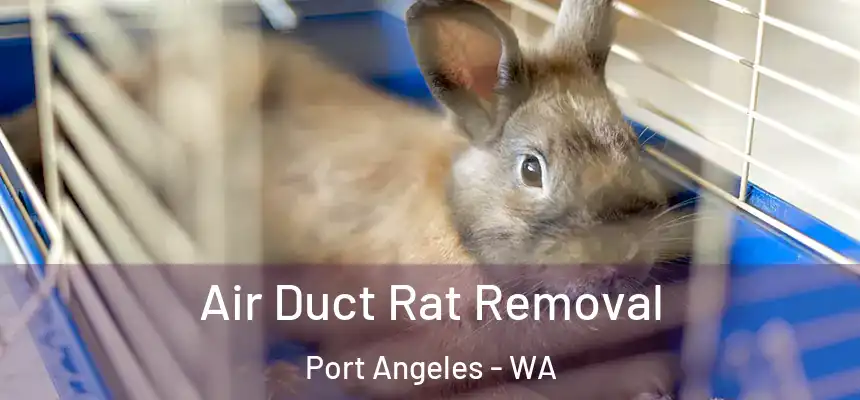  Air Duct Rat Removal Port Angeles - WA