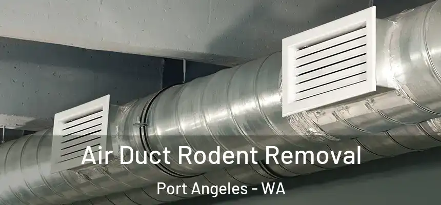  Air Duct Rodent Removal Port Angeles - WA