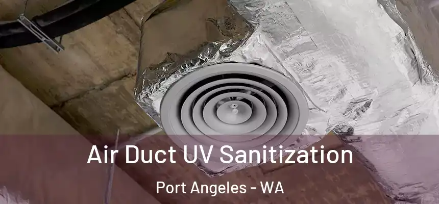  Air Duct UV Sanitization Port Angeles - WA