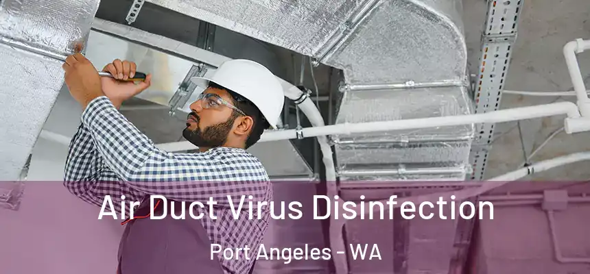  Air Duct Virus Disinfection Port Angeles - WA