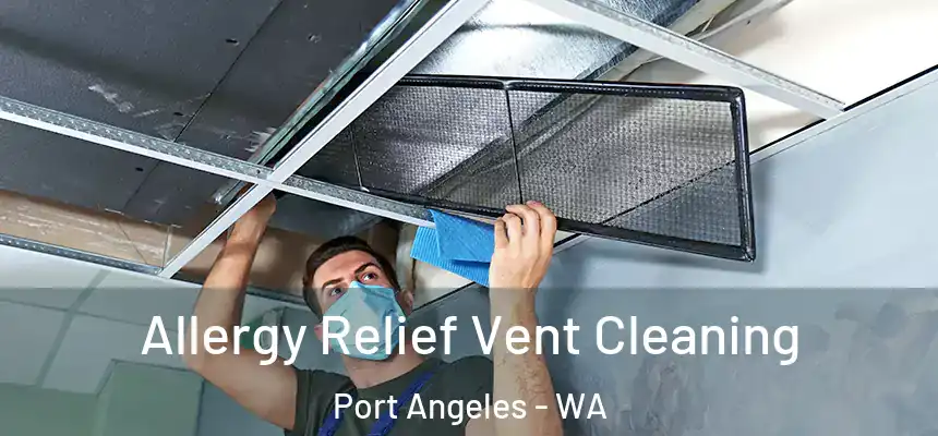  Allergy Relief Vent Cleaning Port Angeles - WA