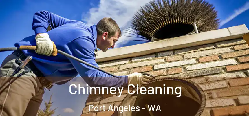  Chimney Cleaning Port Angeles - WA