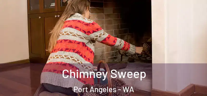  Chimney Sweep Port Angeles - WA