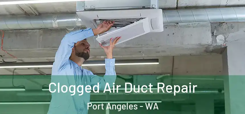 Clogged Air Duct Repair Port Angeles - WA