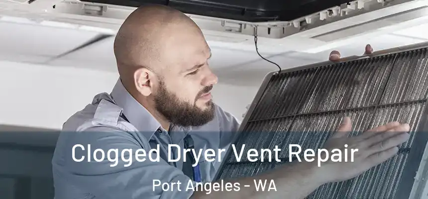  Clogged Dryer Vent Repair Port Angeles - WA