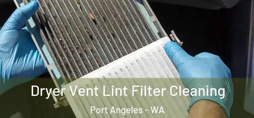  Dryer Vent Lint Filter Cleaning Port Angeles - WA