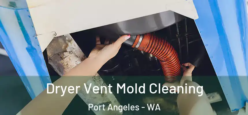 Dryer Vent Mold Cleaning Port Angeles - WA
