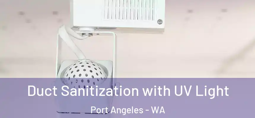  Duct Sanitization with UV Light Port Angeles - WA