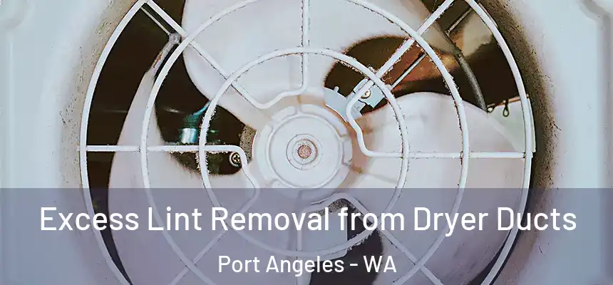 Excess Lint Removal from Dryer Ducts Port Angeles - WA