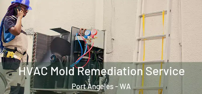  HVAC Mold Remediation Service Port Angeles - WA