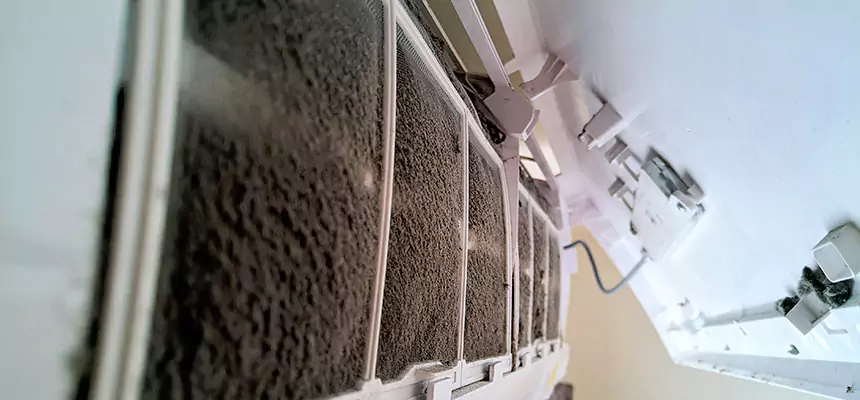 Preventive Air Duct Bacteria Removal in Port Angeles