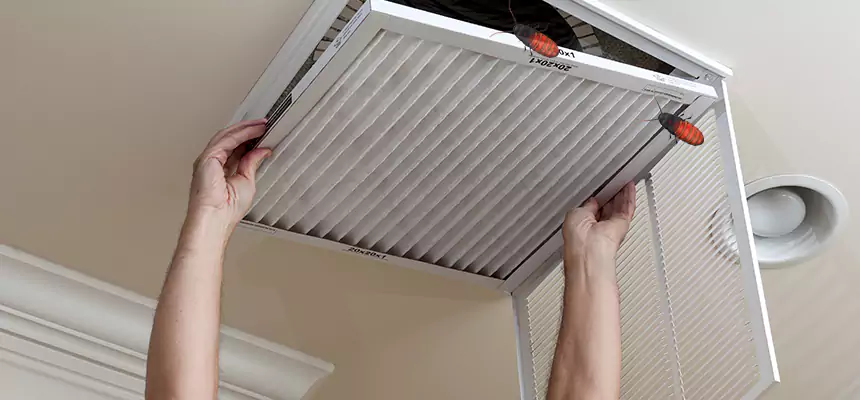 Preventive Cockroach-Proofing for Ducts in Port Angeles