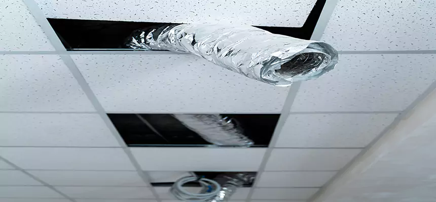 Our Air Duct Pet Hair Removal Services in Port Angeles, WA