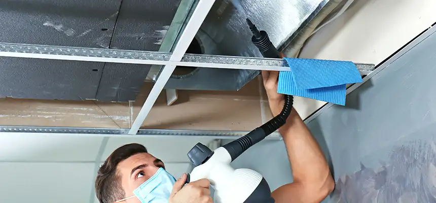 Our Air Duct Rodent Removal Services in Port Angeles, WA