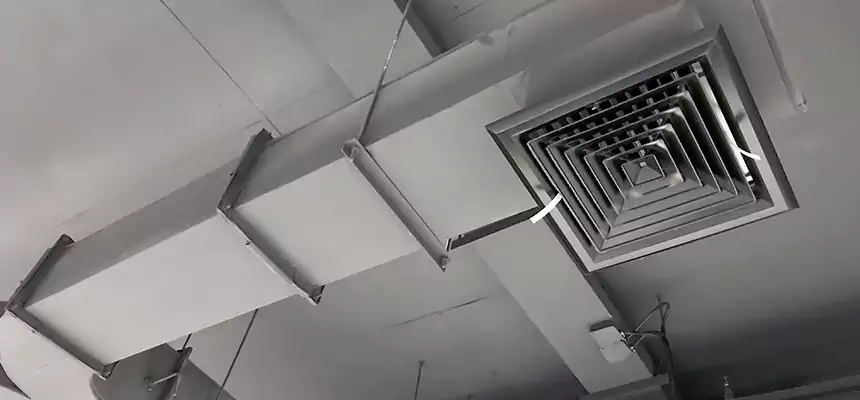 Restorative Allergy Relief Vent Cleaning – Coil, Blower & Housing Detail in Port Angeles