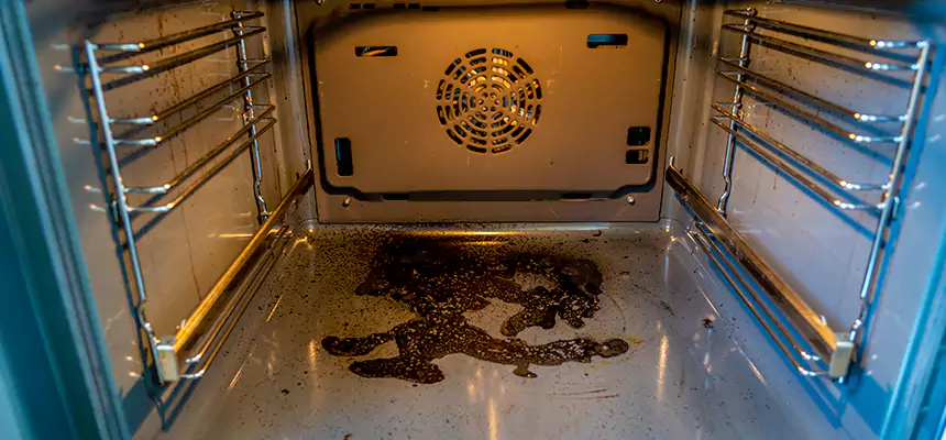 Our Dryer Vent Mold Cleaning Services in Port Angeles, WA