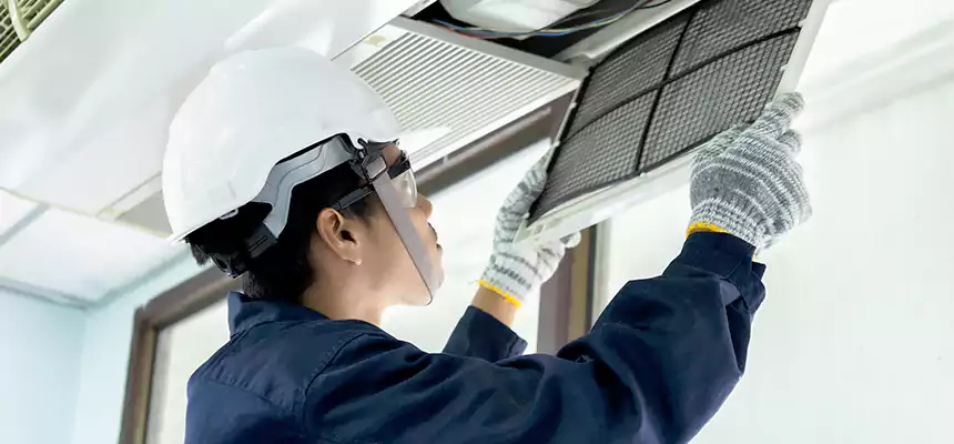 Our Mold & Mildew Removal from Air Ducts Services in Port Angeles, WA