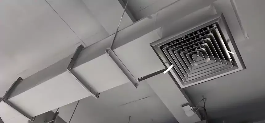 Our Pest Removal From Ducts Services in Port Angeles, WA