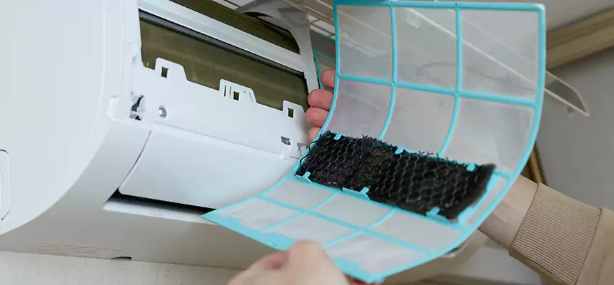 Gentle Ductwork Odor-Control Pet Dander Duct Cleaning in Port Angeles, WA