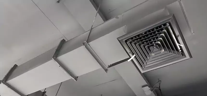 Our Rodent Droppings In Vents Services in Port Angeles, WA