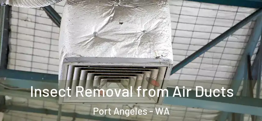  Insect Removal from Air Ducts Port Angeles - WA