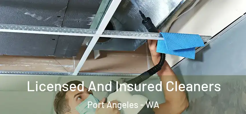  Licensed And Insured Cleaners Port Angeles - WA