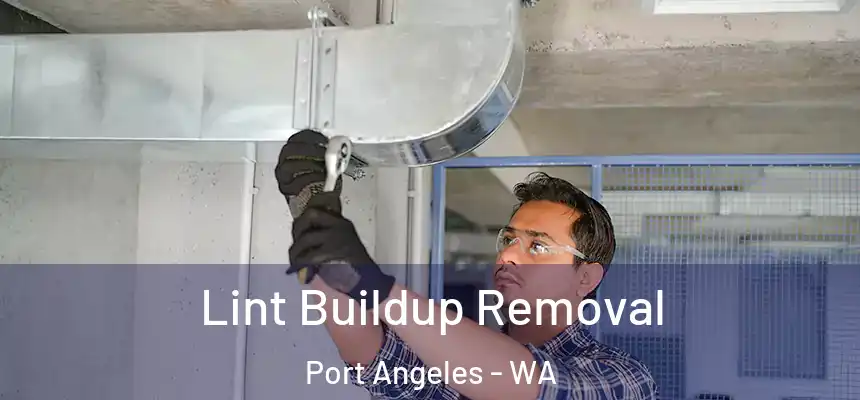 Lint Buildup Removal Port Angeles - WA