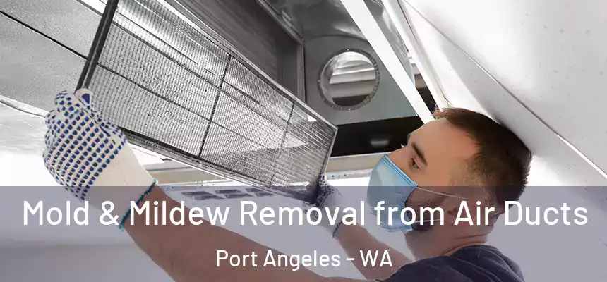  Mold & Mildew Removal from Air Ducts Port Angeles - WA