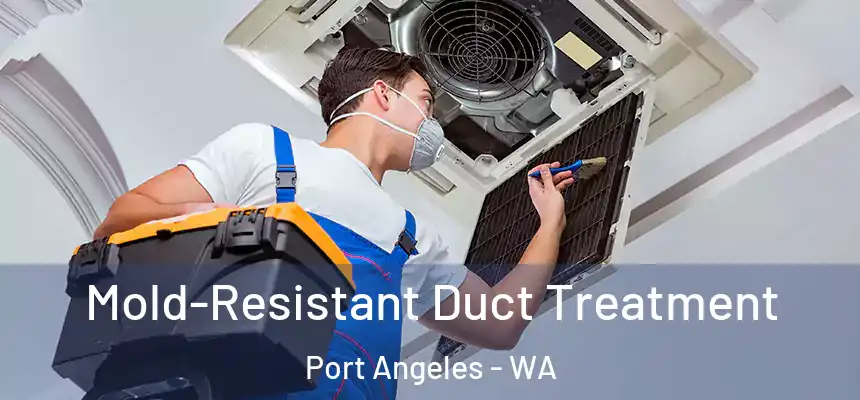  Mold-Resistant Duct Treatment Port Angeles - WA