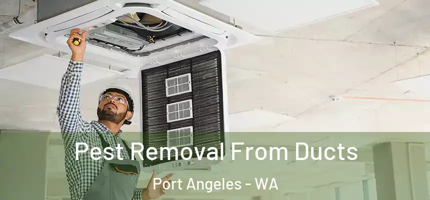  Pest Removal From Ducts Port Angeles - WA