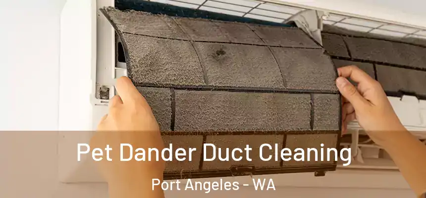  Pet Dander Duct Cleaning Port Angeles - WA