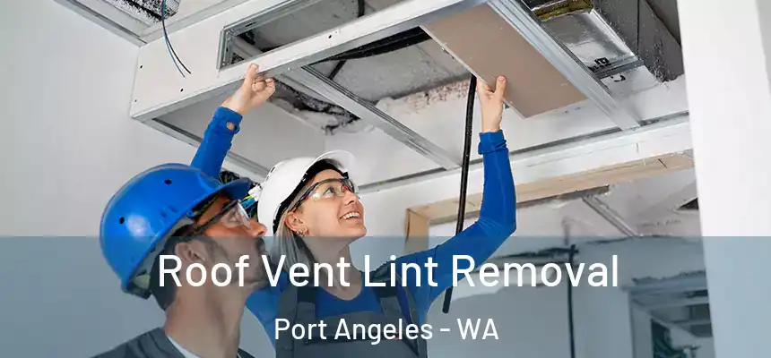  Roof Vent Lint Removal Port Angeles - WA