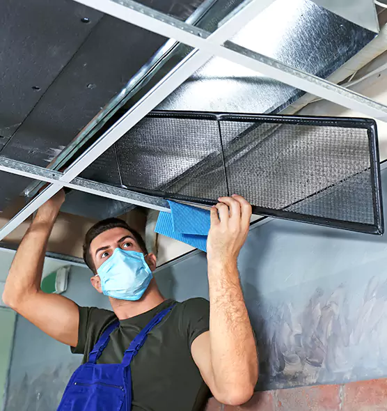 About Air Duct Bacteria Removal in Port Angeles