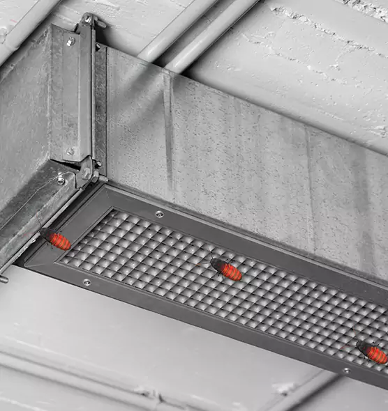 About Air Duct Cockroach Removal in Port Angeles, WA