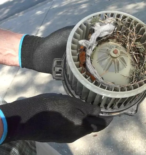 About Air Duct Rat Removal in Port Angeles, WA