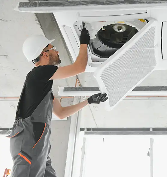 About Air Duct Rodent Removal in Port Angeles, WA