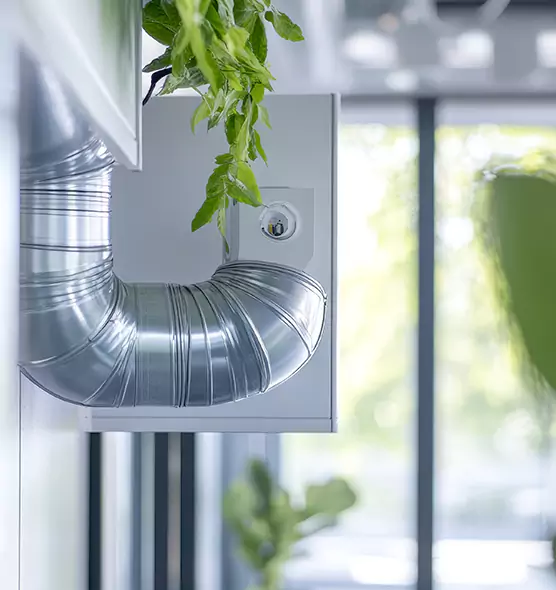 Professional Eco-Friendly Duct Cleaning Services in Port Angeles, WA