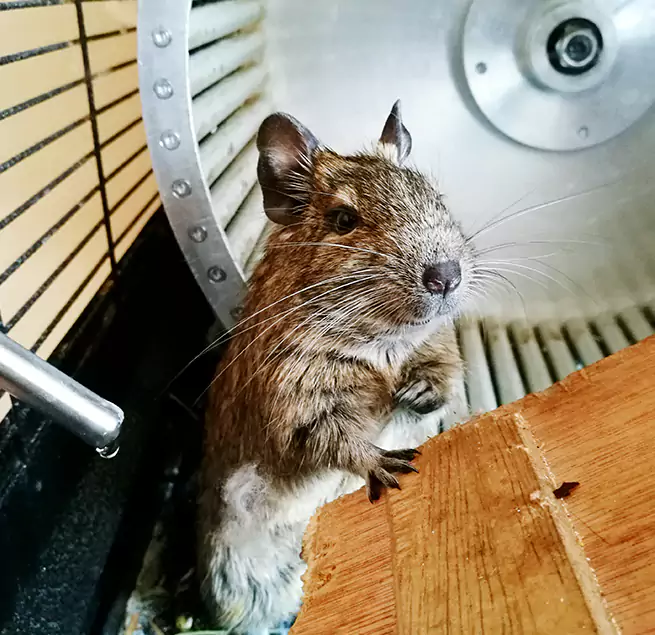 Why Homeowners & Businesses Trust Us Port Angeles, WA