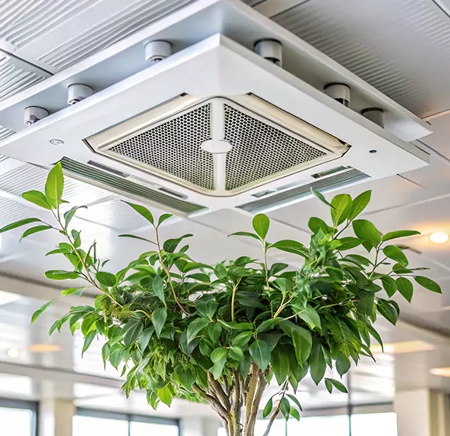 Why Homeowners & Businesses Trust Us in Port Angeles, WA?