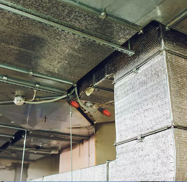 Why Homeowners & Businesses Trust Us Port Angeles, WA?