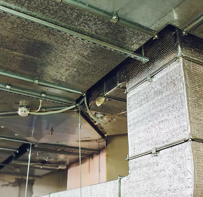 Why Homeowners & Businesses Trust Us in Port Angeles, WA?